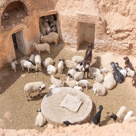 Le case troglodite di Matmata