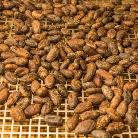 Il cioccolato di Modica. Cibo degli dei