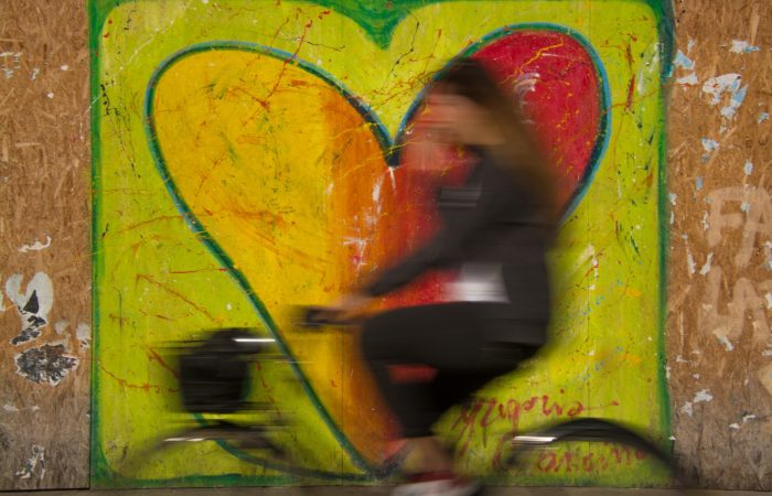 Ferrara in bicicletta. Arte, natura e libertà