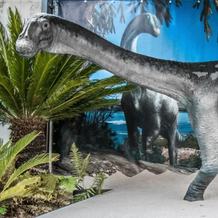 Tito, il dinosauro di Rocca di Cave