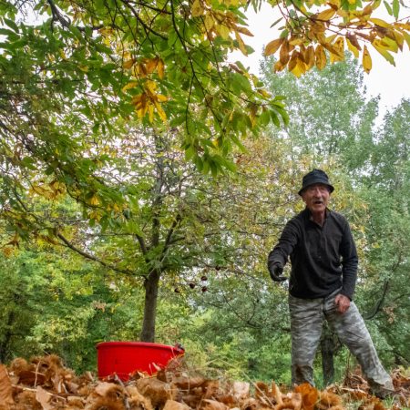 Nei castagneti dei Monti Prenestini con Gino Ponzo